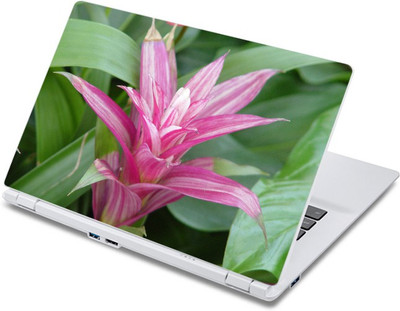 

ezyPRNT Pink Flower with pointed Petals Nature (13 to 13.9 inch) Vinyl Laptop Decal 13