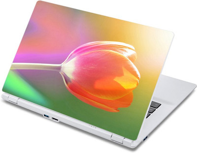

ezyPRNT The Pink Lily Close-up (13 to 13.9 inch) Vinyl Laptop Decal 13