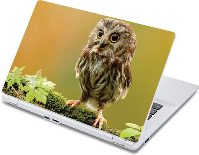 

ezyPRNT Cute Owl's Kid (13 to 13.9 inch) Vinyl Laptop Decal 13