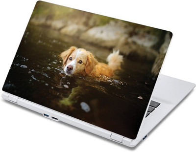 

ezyPRNT Dog Swimming Pet Animal (13 to 13.9 inch) Vinyl Laptop Decal 13