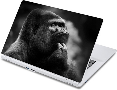 

ezyPRNT Mind the Gorilla Wildlife (13 to 13.9 inch) Vinyl Laptop Decal 13
