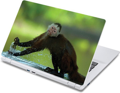 

ezyPRNT Monkey Tapping Wildlife (13 to 13.9 inch) Vinyl Laptop Decal 13
