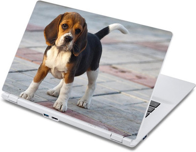 

ezyPRNT Cute Puppy (13 to 13.9 inch) Vinyl Laptop Decal 13
