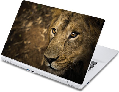 

ezyPRNT Lion's Art Wildlife (13 to 13.9 inch) Vinyl Laptop Decal 13