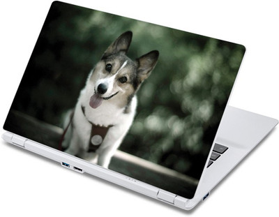 

ezyPRNT Doggy's Tongue Out Pet Animal (13 to 13.9 inch) Vinyl Laptop Decal 13
