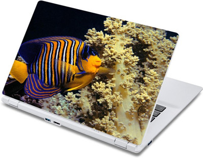 

ezyPRNT The Amazing colorful Fish Aquatic (13 to 13.9 inch) Vinyl Laptop Decal 13