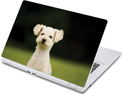 

ezyPRNT Cute white Puppy Pet Animal (13 to 13.9 inch) Vinyl Laptop Decal 13