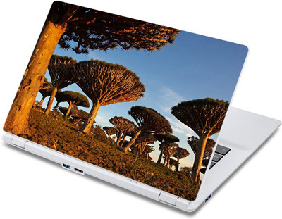 

ezyPRNT Dragon Tree Nature (13 to 13.9 inch) Vinyl Laptop Decal 13