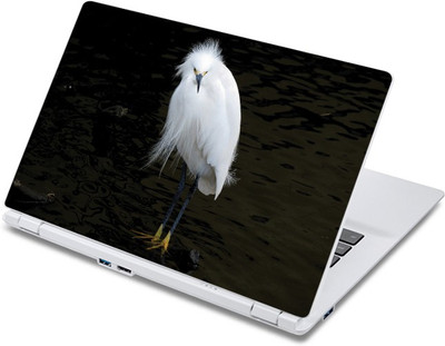 

ezyPRNT Pointed Beaked White Bird (13 to 13.9 inch) Vinyl Laptop Decal 13