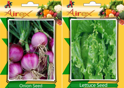 Airex Onion and Lettuce Vegetables Seed (Pack Of 20 Seed * 2 Per Packet) Seed(20 per packet)