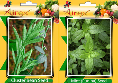 

Airex Cluster Bean (Gwarphali) and Mint (Pudina)Vegetables Seed (Pack Of 15 Seed * 2 Per Packet) Seed(15 per packet)