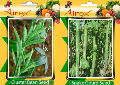 Airex Cluster Bean (Gwarphali) and Snake Gourd Vegetables Seed (Pack Of 20 Seed Cluster Bean (Gwarphali) + 10 Snake Gourd) Seed(20 per packet)