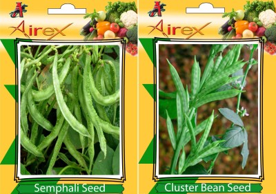 Airex Semphali and Gwarphali (Cluster Bean) Vegetables Seed + Humic Acid Fertilizer (For Growth of All Plant and Better Responce) 15 gm Humic Acid + Pack Of 30 Seed * 2 Per Packet Seed(30 per packet)