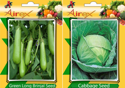Airex Green Long Brinjal and Cabbage Vegetables Seed (Pack Of 20 Seed * 2 Per Packet) Seed(20 per packet)