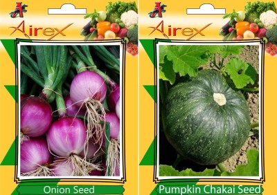 Airex Onion and Pumpkin Vegetables Seed (Pack Of 20 Seed * 2 Per Packet) Seed(20 per packet)