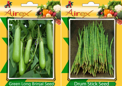 

Airex Green Long Brinjal and Drum Stick Vegetables Seed + Humic Acid Fertilizer (For Growth of All Plant and Better Responce) 15 gm Humic Acid + Pack Of 30 Seed Green Long Brinjal + 10 Drum Stick Seed(30 per packet)