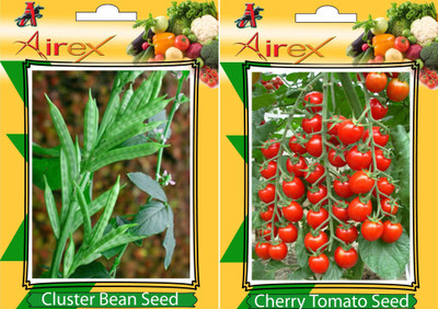 

Airex Cluster Bean (Gwarphali) and Cherry Tomato Vegetables Seed (Pack Of 20 Seed * 2 Per Packet) Seed(20 per packet)