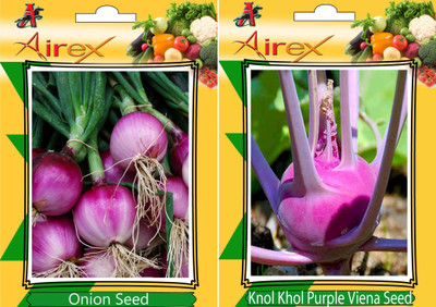 

Airex Onion and Knol Khol Purple Viena Vegetables Seed (Pack Of 15 Seed * 2 Per Packet) Seed(15 per packet)