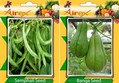 Airex Semphali and Banga Vegetables Seed (Pack Of 20 Seed * 2 Per Packet) Seed(20 per packet)