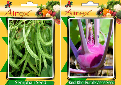

Airex Semphali and Knol Khol Purple Viena Vegetables Seed (Pack Of 20 Seed * 2 Per Packet) Seed(20 per packet)