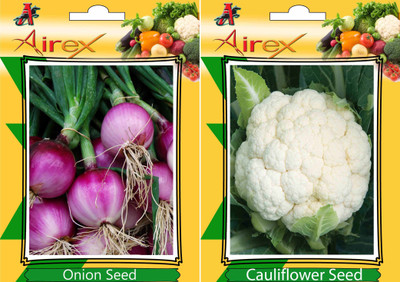 Airex Onion and Cauliflower Vegetables Seed (Pack Of 25 Seed * 2 Per Packet) Seed(25 per packet)