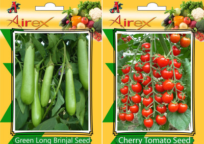 

Airex Green Long Brinjal and Cherry Tomato Vegetables Seed (Pack Of 20 Seed * 2 Per Packet) Seed(20 per packet)
