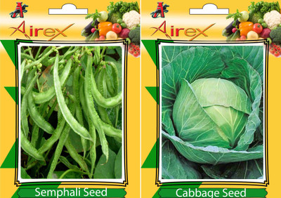 

Airex Semphali and Cabbage Vegetables Seed (Pack Of 20 Seed * 2 Per Packet) Seed(20 per packet)
