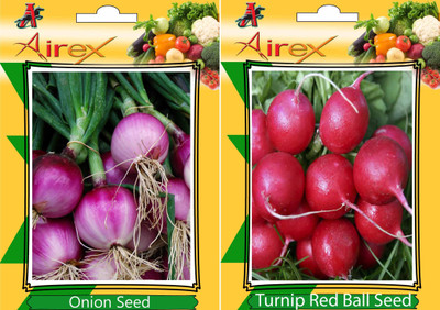 Airex Onion and Turnip Red Ball Vegetables Seed (Pack Of 20 Seed * 2 Per Packet) Seed(20 per packet)