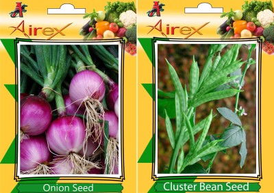 Airex Onion and Cluster Bean (Gwarphali) Vegetables Seed + Humic Acid Fertilizer (For Growth of All Plant and Better Responce) 15 gm Humic Acid + Pack Of 30 Seed * 2 Per Packet Seed(30 per packet)