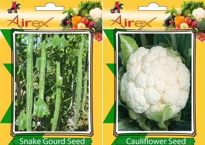 Airex Snake Gourd and Cauliflower Vegetables Seed (Pack Of 10 Seed Snake Gourd + 15 Cauliflower) Seed(15 per packet)