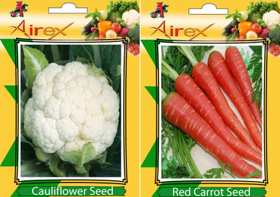Airex Cauliflower and Red Carrot Vegetables Seed (Pack Of 20 Seed Cauliflower + 20 Red Carrot) Seed(20 per packet)