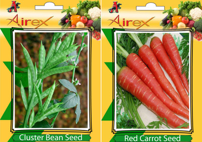 Airex Cluster Bean (Gwarphali) and Red Carrot Vegetables Seed (Pack Of 20 Seed * 2 Per Packet) Seed(20 per packet)