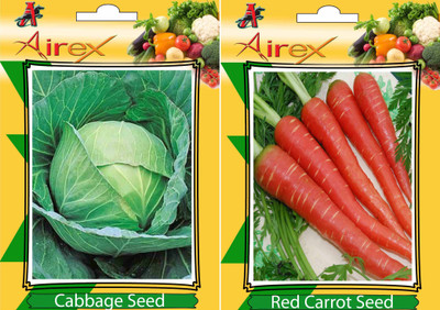 Airex Cabbage and Red Carrot Vegetables Seed (Pack Of 20 Seed Cabbage + 20 Red Carrot) Seed(20 per packet)