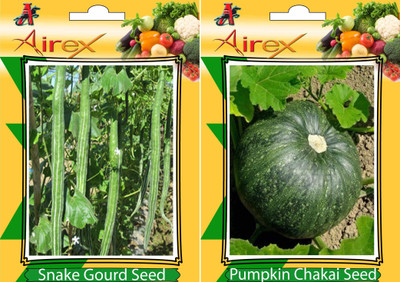 

Airex Snake Gourd and Pumpkin Vegetables Seed (Pack Of 10 Seed Snake Gourd + 15 Pumpkin) Seed(15 per packet)