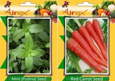 Airex Mint (Pudina) and Red Carrot Vegetables Seed (Pack Of 15 Seed * 2 Per Packet) Seed(15 per packet)