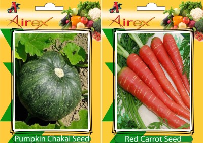 Airex Pumpkin and Red Carrot Vegetables Seed (Pack Of 20 Seed Pumpkin + 20 Red Carrot) Seed(20 per packet)