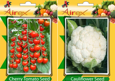 Airex Cherry Tomato and Cauliflower Vegetables Seed (Pack Of 15 Seed * 2 Per Packet) Seed(15 per packet)