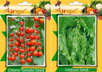 

Airex Cherry Tomato and Lettuce Vegetables Seed (Pack Of 25 Seed * 2 Per Packet) Seed(25 per packet)