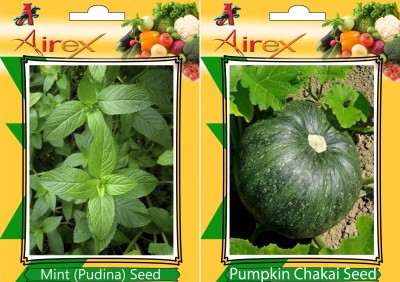 Airex Mint (Pudina) and Pumpkin Vegetables Seed (Pack Of 15 Seed * 2 Per Packet) Seed(15 per packet)