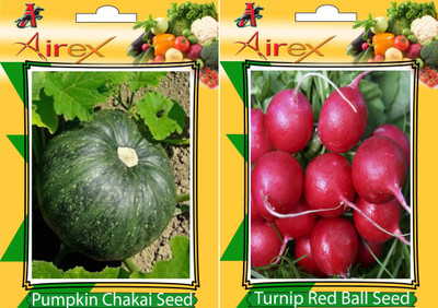 

Airex Pumpkin and Turnip Red Ball Vegetables Seed + Humic Acid Fertilizer (For Growth of All Plant and Better Responce) 15 gm Humic Acid + Pack Of 30 Seed Pumpkin + 30 Turnip Red Ball Seed(30 per packet)