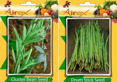 

Airex Cluster Bean (Gwarphali) and Drum Stick Vegetables Seed + Humic Acid Fertilizer (For Growth of All Plant and Better Responce) 15 gm Humic Acid + Pack Of 30 Seed Cluster Bean (Gwarphali) + 10 Drum Stick Seed(30 per packet)