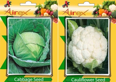 Airex Cabbage and Cauliflower Vegetables Seed (Pack Of 15 Seed Cabbage + 15 Cauliflower) Seed(15 per packet)