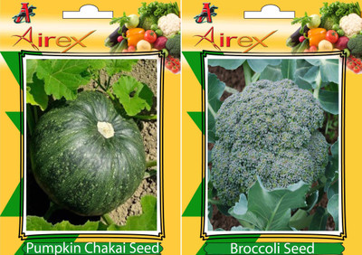 

Airex Pumpkin and Broccoli Vegetables Seed (Pack Of 25 Seed Pumpkin + 25 Broccoli) Seed(25 per packet)