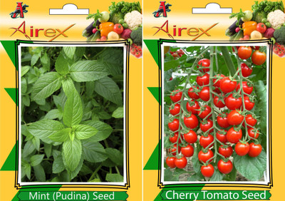

Airex Mint (Pudina) and Cherry Tomato Vegetables Seed (Pack Of 20 Seed * 2 Per Packet) Seed(20 per packet)