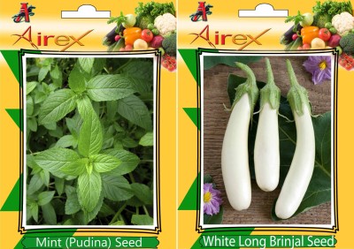 Airex Mint (Pudina) and White Long Brinjal Vegetables Seed (Pack Of 15 Seed * 2 Per Packet) Seed(15 per packet)