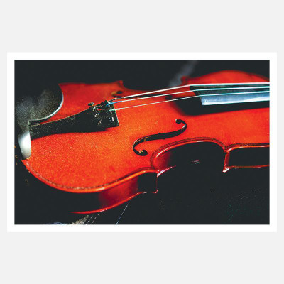 CRAZYINK(VIOLIN)WALL POSTER (12 * 18) INCH Paper Print(12 inch X 18 inch) available at flipkart for Rs.169