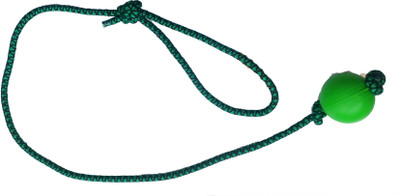 

Fantastic Dog Jute Training Aid For Dog
