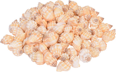 

Vardhman Sea Shells Shankh ,90 pcs ,( 500 gms pack ) ,Used In Aquariums ,Art & Crafts ,Decorations, Table Decoration , size 3.5 x 2.5 x 2 cms River Rock Unplanted Substrate(Beige)