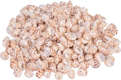 

Vardhman Natural sea shells small color White tiger print River Rock Unplanted Substrate(Beige)