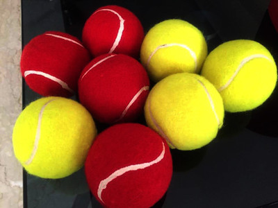 

asqure Professional Tennis Ball - Size: 5(Pack of 12, Red)